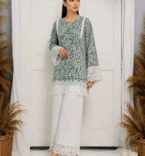 shahnoor n2