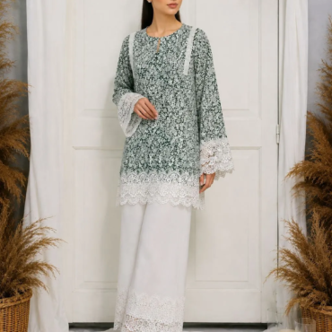 shahnoor n2
